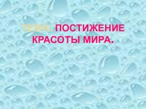 Презентация к уроку самопознание по теме Постижение красоты мира 9 класс