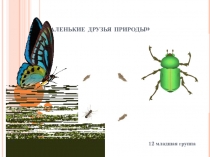 Насекомые - маленькие друзья природы во второй младшей группе