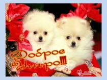 Урок закрепление  Счет предметов 10