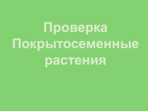 Презентация для 6 классов по биологии Проверка знаний по теме Семейства Покрытосеменных растений