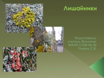 Презентация по биологии на тему Лишайники (7 класс) по Сухоруковой