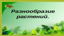 Презентация для 9 класса по теме: Многообразие растений и их значение