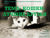 Презентация к сочинению о кошке