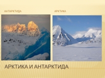 Презентация по окружающему миру на тему Сравнительная характеристика Арктики и Антарктики4 класс
