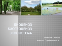 Презентация по биологии Биоценоз ,экосистема