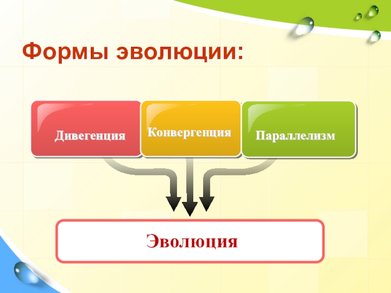 Презентация к уроку Закономерности эволюции Формы эволюции:ДивегенцияКонвергенцияПараллелизмЭволюция Формы эволюции:ДивегенцияКонвергенцияПараллелизмЭволюция