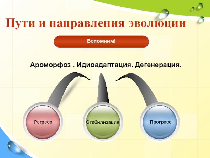 Презентация к уроку Закономерности эволюции Пути и направления эволюцииСтабилизацияРегрессПрогрессАроморфоз . Идиоадаптация. Дегенерация. Пути и направления эволюцииСтабилизацияРегрессПрогрессАроморфоз . Идиоадаптация. Дегенерация.