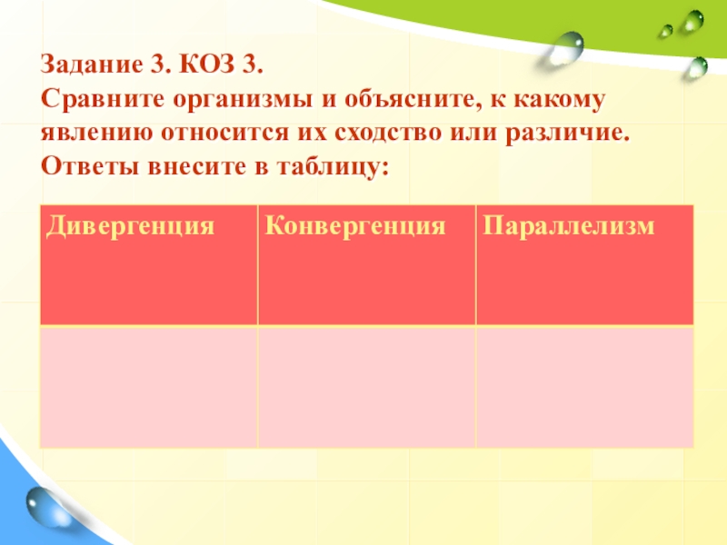 Презентация к уроку Закономерности эволюции Задание 3. КОЗ 3. Сравните организмы и объясните, к какому явлению Задание 3. КОЗ 3. Сравните организмы и объясните, к какому явлению относится их сходство или различие. Ответы