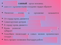 Презентация по физической культуре на тему Кровеносная система(3 класс)