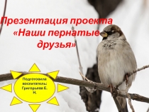 Презентация Наши пернатые друзья