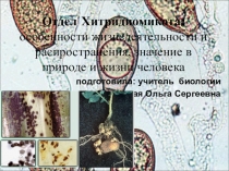 Презентация по биологии на тему Отдел Хитридиомикота