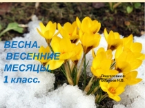 Презентация по доноведению 1 класс  Весна. Весенние месяцы.