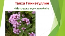Талха Ғиниәтуллин Асыҡ дәрес өсөн презентация