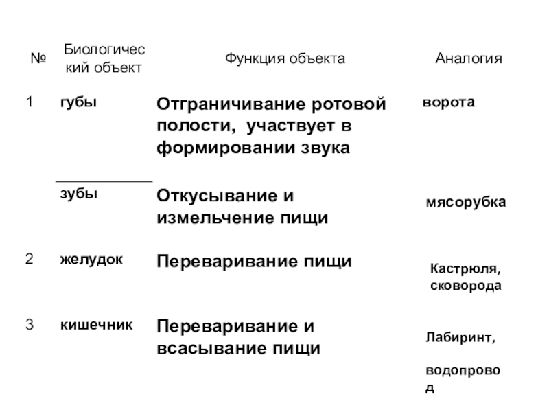 Презентация по биологии на тему гигиена питания мясорубка Кастрюля, сковородаЛабиринт, водопровод мясорубка Кастрюля, сковородаЛабиринт, водопровод
