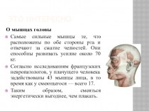 Презентация по биологии на тему Основные группы мышц (8 класс)