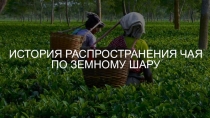 Презентация к классному часу Чай и кофе