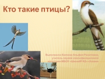 Презентация по окружающему миру на тему Кто такие птицы (3класс)