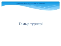 Презентация  Тамыр түрлері