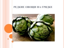 Проект. Редкие овощи на грядке