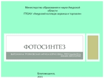 Презентация по биологии на тему Фотосинтез (10 класс)