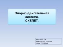 Презентация по окружающему миру Опорно-двигательная система 3 класс