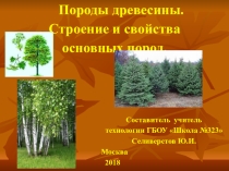 Презентация Породы древесины. Строение и свойства основных пород.