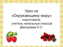 Презентация к уроку по окружающему миру Какие части культурных растений используют люди?