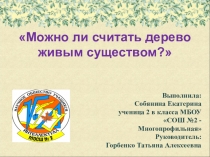 Презентация к исследовательской работе Можно ли считать дерево живым существом?