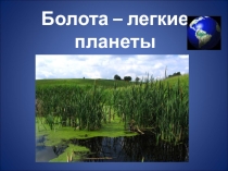 Презентация Болота - лёгкие планеты