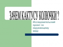 Зачем кактусу колючки Урок-презентация.