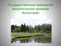 Презентация Государственный природный заказник Китатский ( 4 класс)