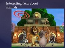 Презентация по английскому языку на тему: Interesting facts about animals (начальная школа)