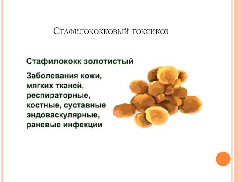 Презентация по биологии на тему Пищевые отравления и их предупреждение Стафилококковый токсикоз Стафилококковый токсикоз