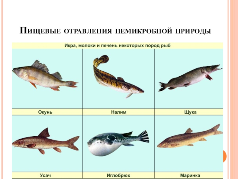 Презентация по биологии на тему Пищевые отравления и их предупреждение Пищевые отравления немикробной природы Пищевые отравления немикробной природы