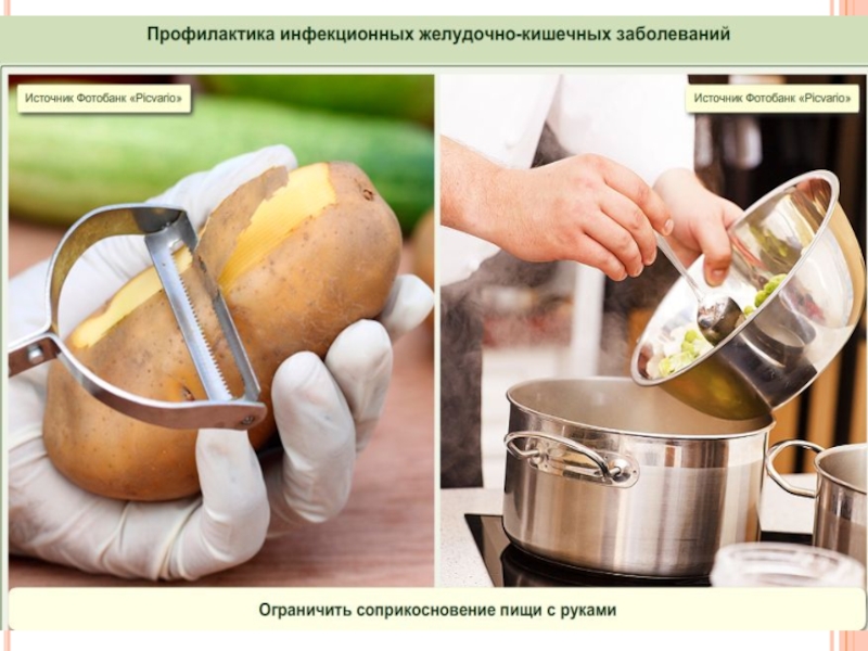 Презентация по биологии на тему Пищевые отравления и их предупреждение