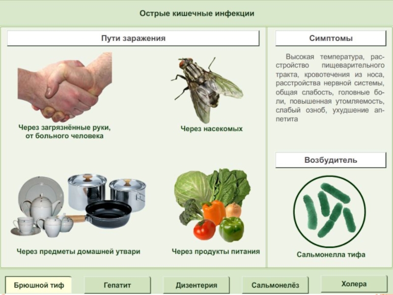Презентация по биологии на тему Пищевые отравления и их предупреждение Пищевые отравления бактериальной природы Пищевые отравления бактериальной природы