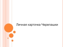 Презентация по информатике на тему Личная карточка Черепашки