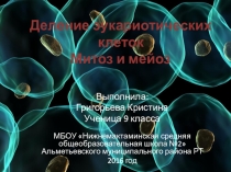 Деление эукариотических клеток. Митоз и мейоз