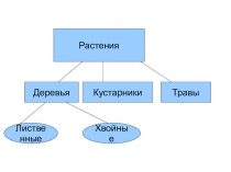Презентация по окружающему миру 2 класс