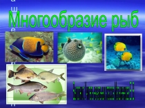Презентация по окружающему миру на тему Многообразие рыб (4 класс)