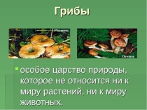 Презентация по окружающему миру на тему Грибы (2 класс)