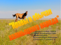 Разные народы -единая страна (Калмыкия)