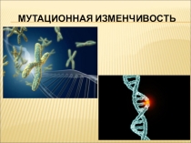 Презентация по биологии на тему Мутационная изменчивость (9 класс)
