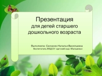 Презентация к занятию в старшей группе по развитию речи Письмо от тётушки совы