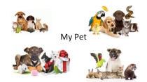 Презентация по английскому языку на тему My pet