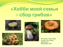 Презентация проекта Хобби моей семьи – сбор грибов