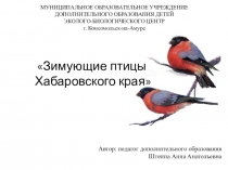 Методическая разработка занятия по теме: Зимующие птицы Хабаровского края