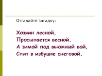 Презентация Словарные слова. Дикие животные. Медведь