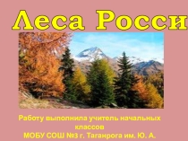Презентация по окружающему миру на тему Леса России. (4 класс)