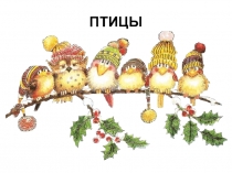 Презентация Птицы нашего края